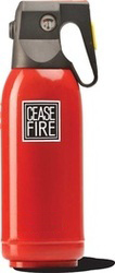 Fire Extinguisher - 2 Kg